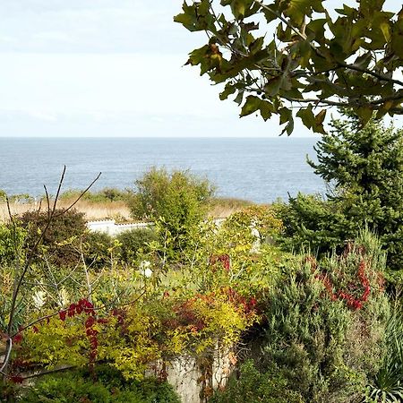 Art Provence House Βίλα Lozenets Εξωτερικό φωτογραφία