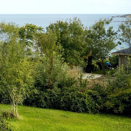 Art Provence House Βίλα Lozenets Εξωτερικό φωτογραφία