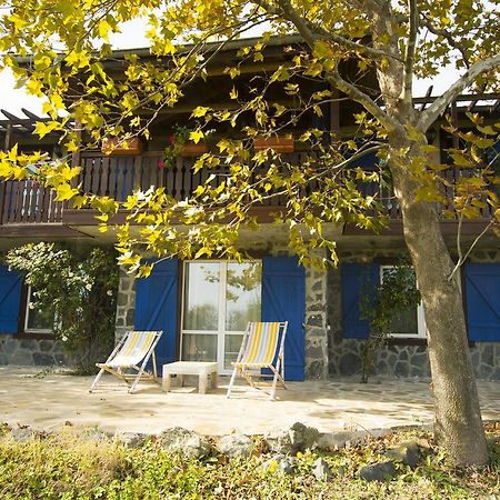 Art Provence House Βίλα Lozenets Εξωτερικό φωτογραφία