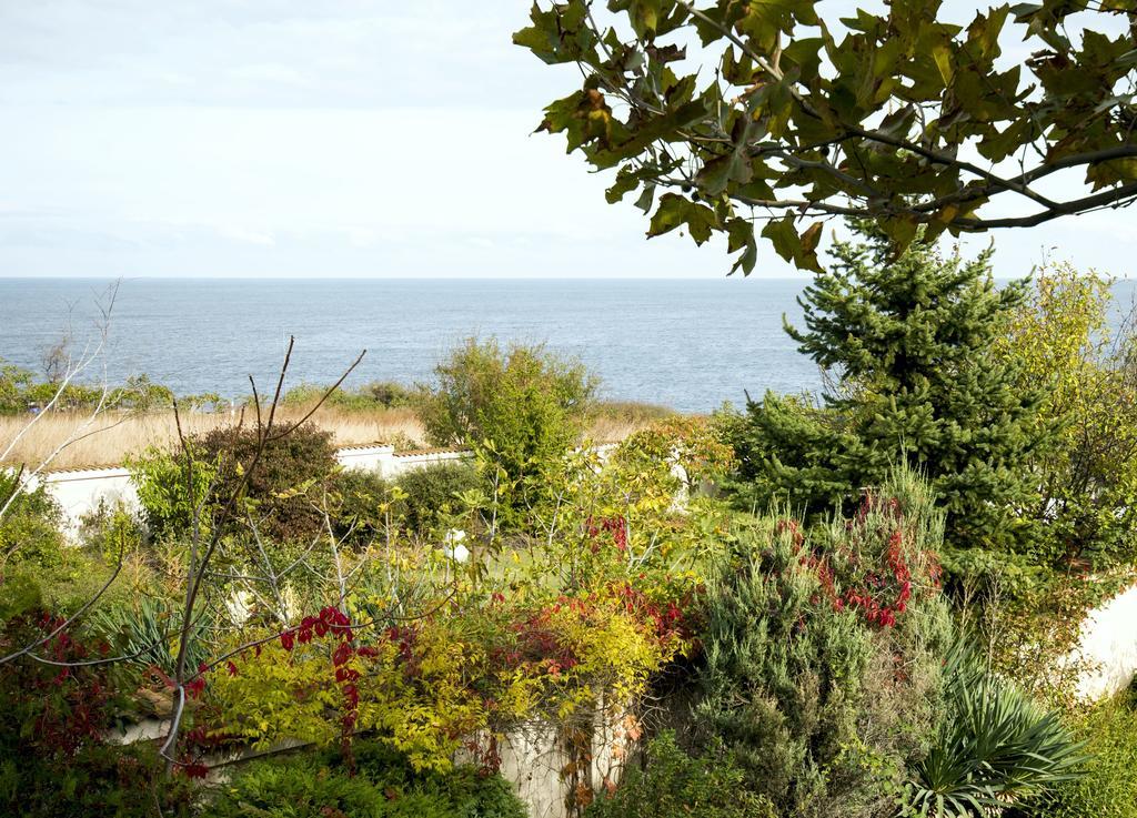 Art Provence House Βίλα Lozenets Εξωτερικό φωτογραφία