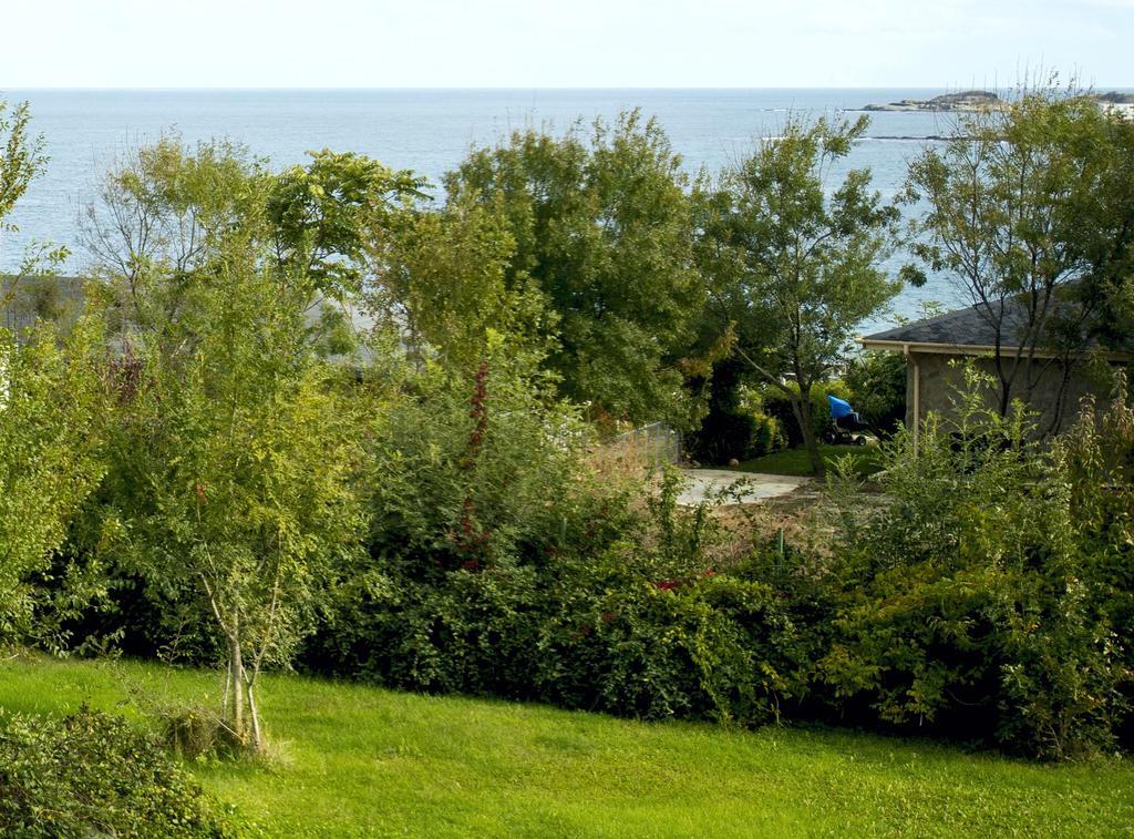 Art Provence House Βίλα Lozenets Εξωτερικό φωτογραφία