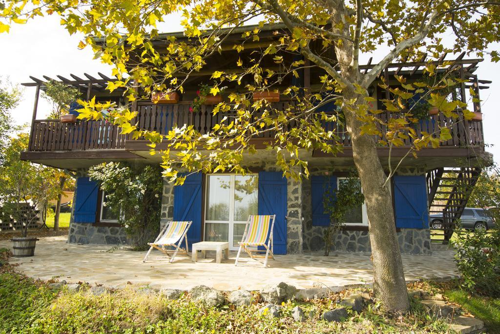 Art Provence House Βίλα Lozenets Εξωτερικό φωτογραφία